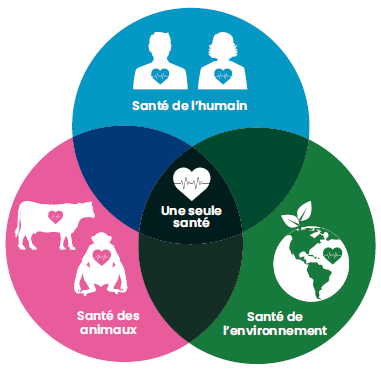 Une seule santé